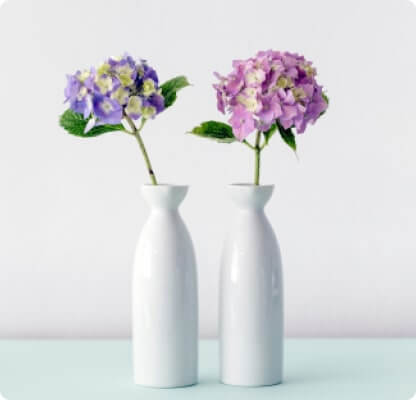 Flowers in vases